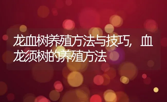 龙血树养殖方法与技巧,血龙须树的养殖方法 | 养殖常见问题