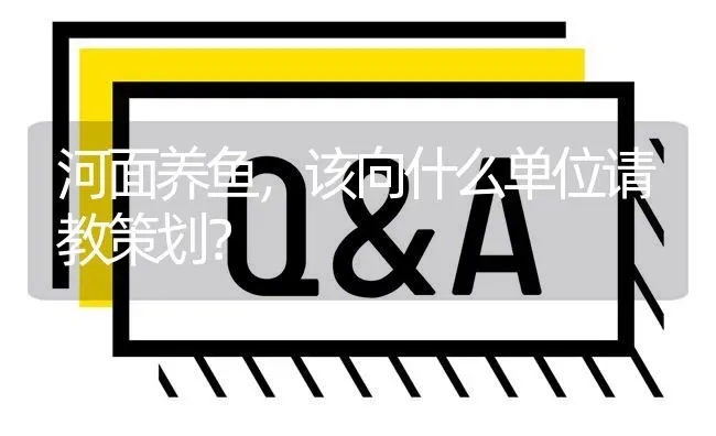 河面养鱼,该向什么单位请教策划? | 养殖问题解答