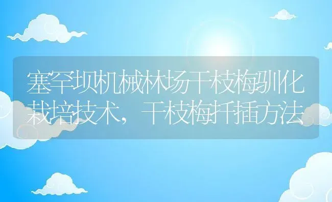 塞罕坝机械林场干枝梅驯化栽培技术,干枝梅扦插方法 | 养殖常见问题