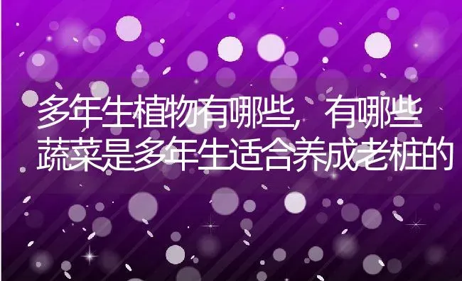 多年生植物有哪些,有哪些蔬菜是多年生适合养成老桩的 | 养殖常见问题