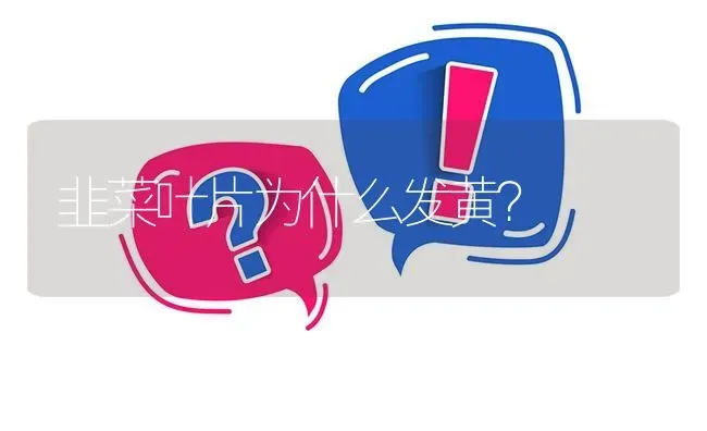 韭菜叶片为什么发黄? | 养殖问题解答