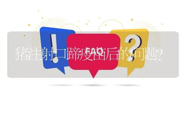 猪注射口蹄疫苗后的问题? | 养殖问题解答