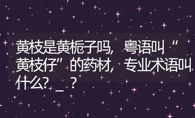 黄枝是黄栀子吗,粤语叫“黄枝仔”的药材,专业术语叫什么?_？ | 养殖常见问题