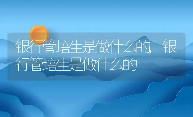 银行管培生是做什么的,银行管培生是做什么的 | 养殖常见问题