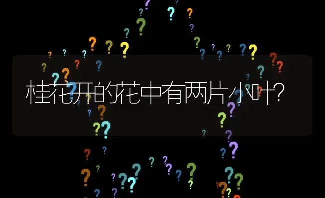 桂花开的花中有两片小叶? | 养殖问题解答