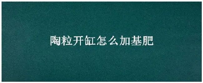 陶粒开缸怎么加基肥 | 农业问题