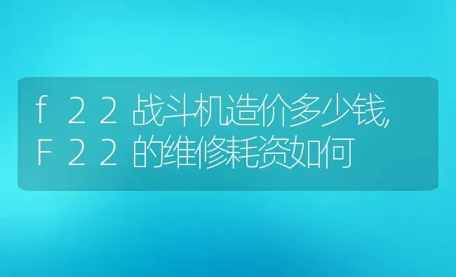 f22战斗机造价多少钱,F22的维修耗资如何 | 养殖常见问题