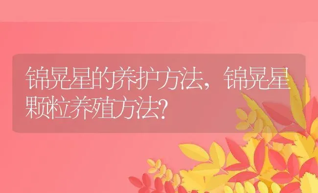 锦晃星的养护方法,锦晃星颗粒养殖方法？ | 养殖常见问题