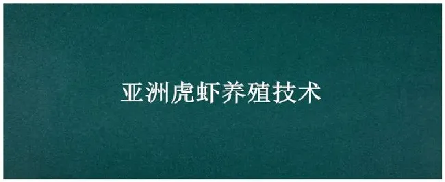 亚洲虎虾养殖技术 | 农业问题