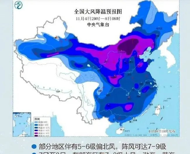 植物常识问题|连海南都逃不过这次寒潮 御寒指南来了  