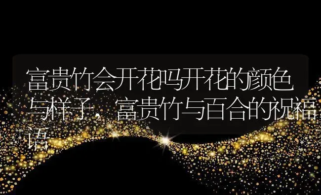 富贵竹会开花吗开花的颜色与样子,富贵竹与百合的祝福语 | 养殖常见问题