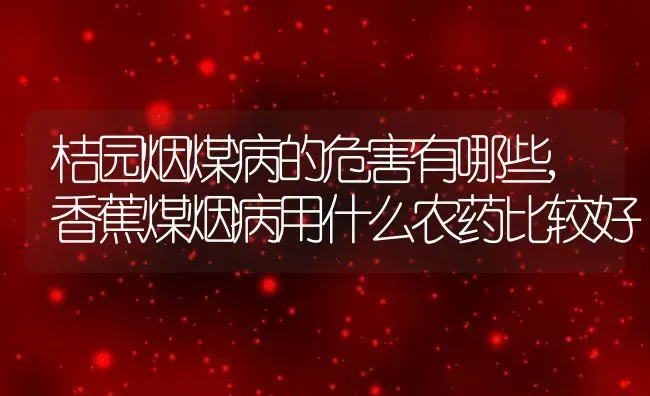 桔园烟煤病的危害有哪些,香蕉煤烟病用什么农药比较好 | 养殖常见问题