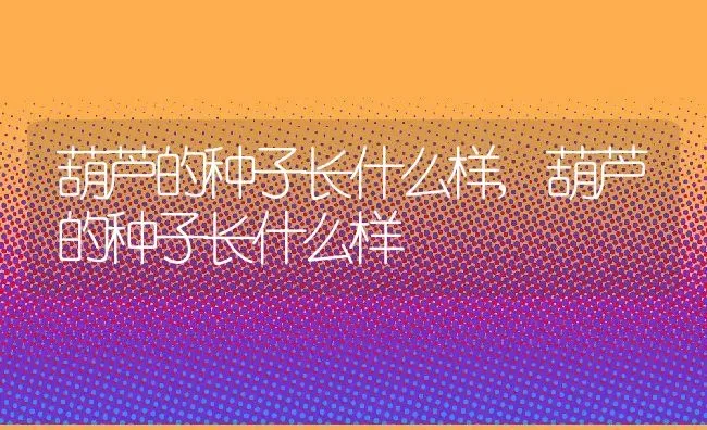 葫芦的种子长什么样,葫芦的种子长什么样 | 养殖常见问题