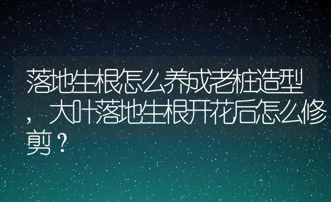 落地生根怎么养成老桩造型,大叶落地生根开花后怎么修剪？ | 养殖常见问题