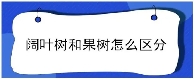 阔叶树和果树怎么区分 | 三农问答