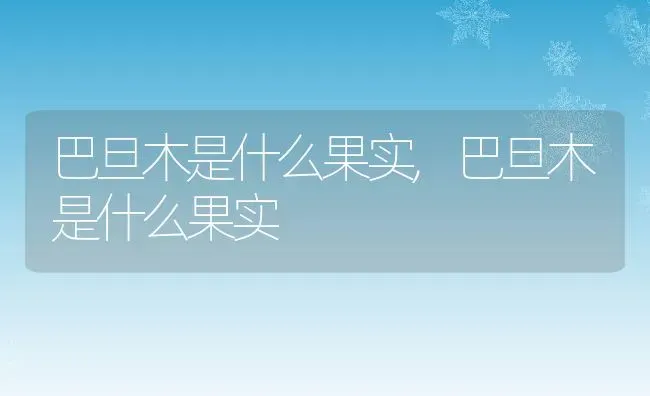 巴旦木是什么果实,巴旦木是什么果实 | 养殖常见问题