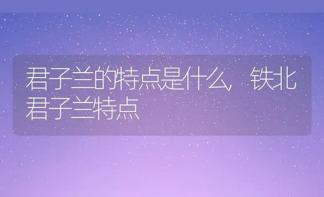 君子兰的特点是什么,铁北君子兰特点 | 养殖常见问题