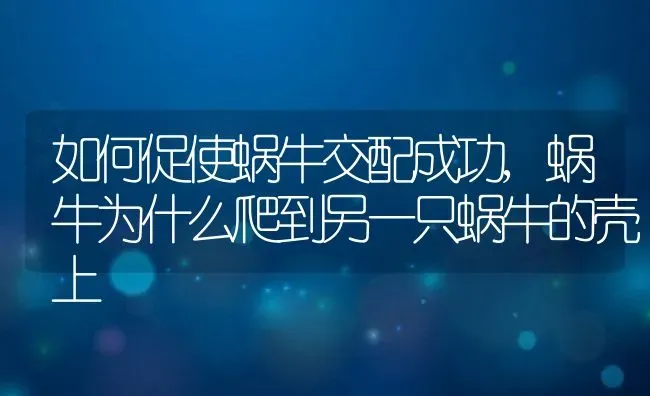 如何促使蜗牛交配成功,蜗牛为什么爬到另一只蜗牛的壳上 | 养殖常见问题