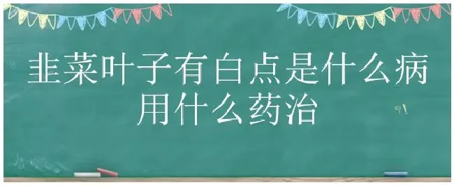 韭菜叶子有白点是什么病用什么药治 | 科普知识