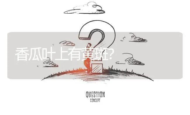 香瓜叶上有黄斑? | 养殖问题解答