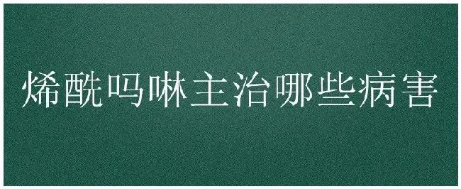 烯酰吗啉主治哪些病害 | 生活常识