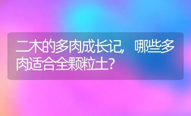 二木的多肉成长记,哪些多肉适合全颗粒土？ | 养殖常见问题