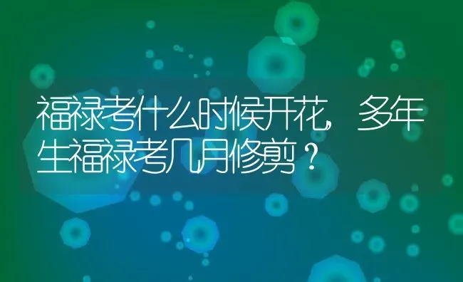 福禄考什么时候开花,多年生福禄考几月修剪？ | 养殖常见问题