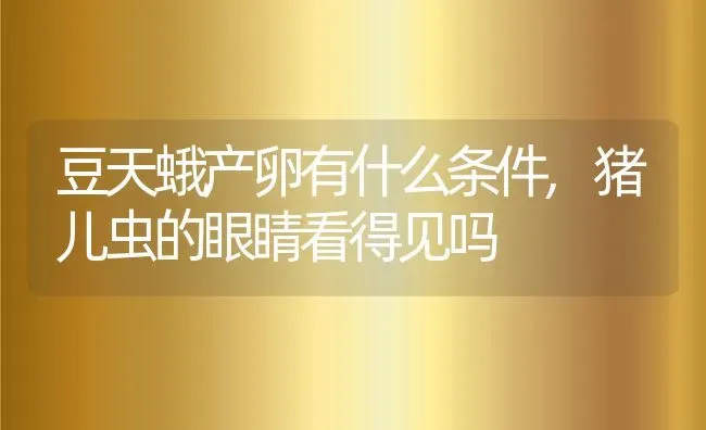 豆天蛾产卵有什么条件,猪儿虫的眼睛看得见吗 | 养殖常见问题