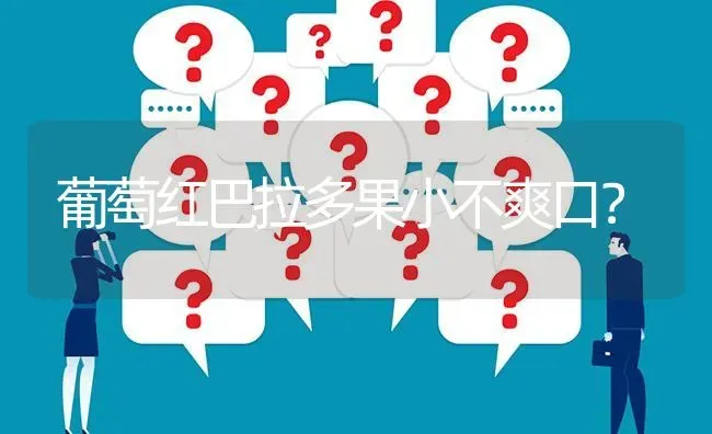 葡萄红巴拉多果小不爽口? | 养殖问题解答