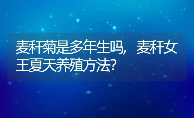 麦秆菊是多年生吗,麦秆女王夏天养殖方法？ | 养殖常见问题