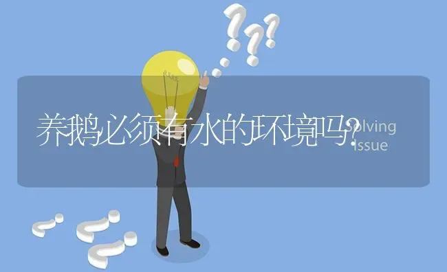 养鹅必须有水的环境吗? | 养殖问题解答