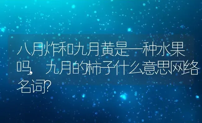 八月炸和九月黄是一种水果吗,九月的柿子什么意思网络名词？ | 养殖常见问题