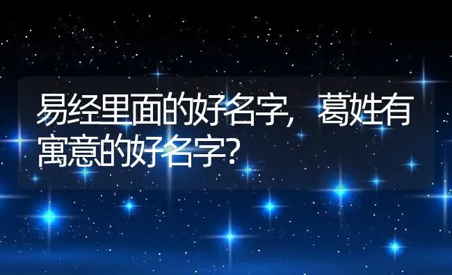 易经里面的好名字,葛姓有寓意的好名字？ | 养殖常见问题