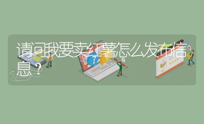 请问我要卖红薯怎么发布信息? | 养殖问题解答