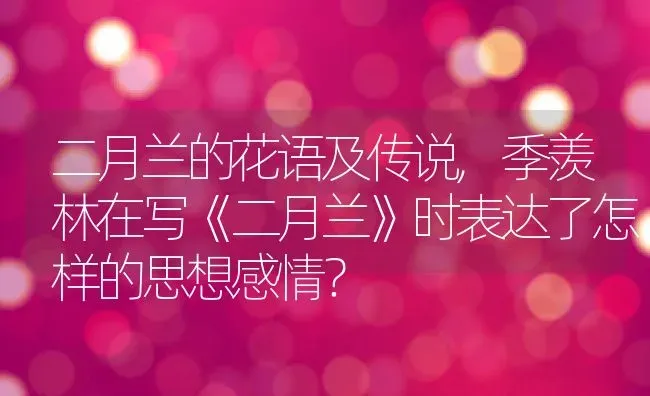 二月兰的花语及传说,季羡林在写《二月兰》时表达了怎样的思想感情？ | 养殖常见问题