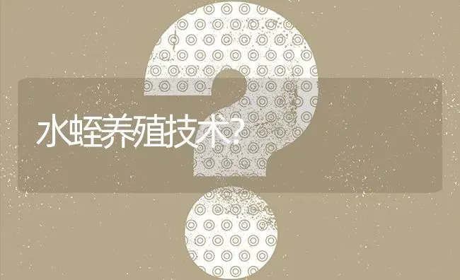 水蛭养殖技术? | 养殖问题解答