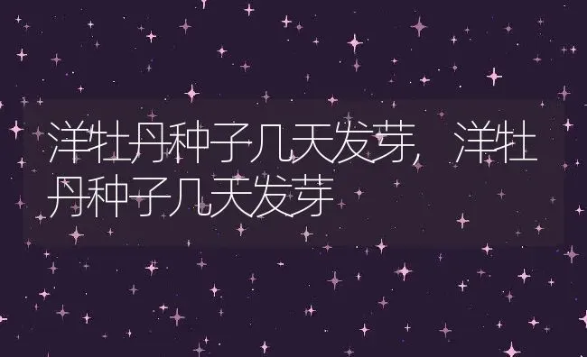 洋牡丹种子几天发芽,洋牡丹种子几天发芽 | 养殖常见问题