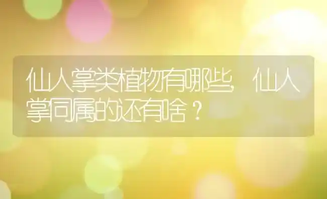 仙人掌类植物有哪些,仙人掌同属的还有啥? | 养殖常见问题