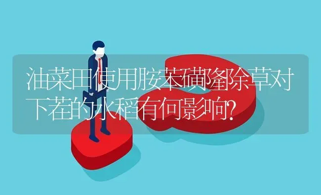 油菜田使用胺苯磺隆除草对下茬的水稻有何影响? | 养殖问题解答