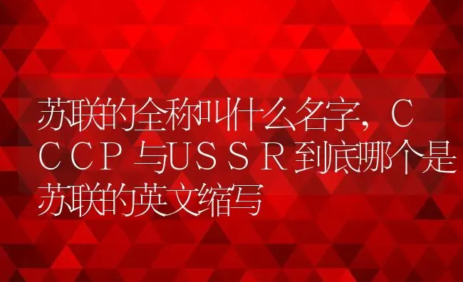 苏联的全称叫什么名字,CCCP与USSR到底哪个是苏联的英文缩写 | 养殖常见问题