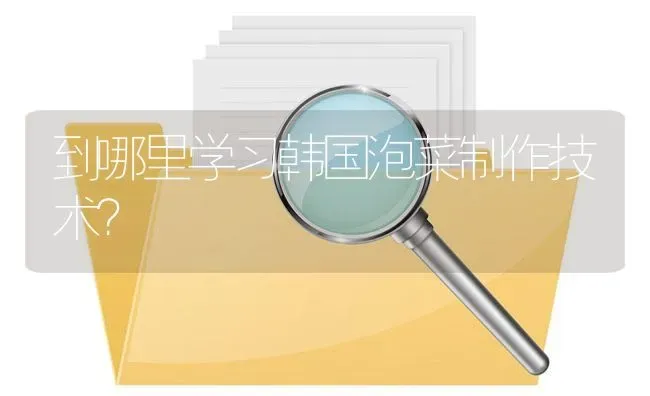 到哪里学习韩国泡菜制作技术? | 养殖问题解答