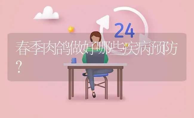 春季肉鸽做好哪些疾病预防? | 养殖问题解答