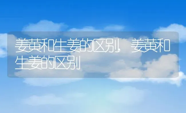 姜黄和生姜的区别,姜黄和生姜的区别 | 养殖常见问题