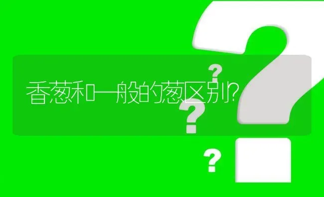 香葱和一般的葱区别? | 养殖问题解答