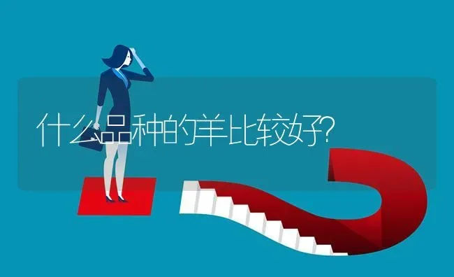 什么品种的羊比较好? | 养殖问题解答
