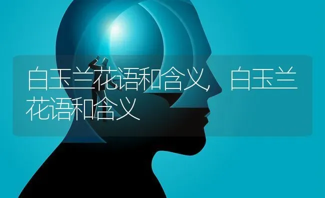 白玉兰花语和含义,白玉兰花语和含义 | 养殖常见问题