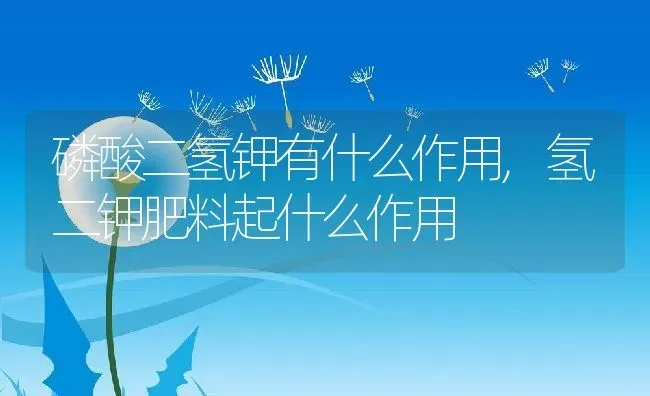 磷酸二氢钾有什么作用,氢二钾肥料起什么作用 | 养殖常见问题