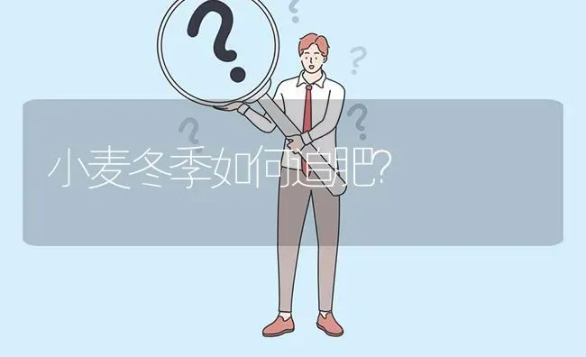 小麦冬季如何追肥? | 养殖问题解答