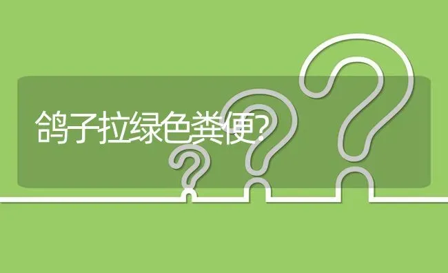 鸽子拉绿色粪便? | 养殖问题解答