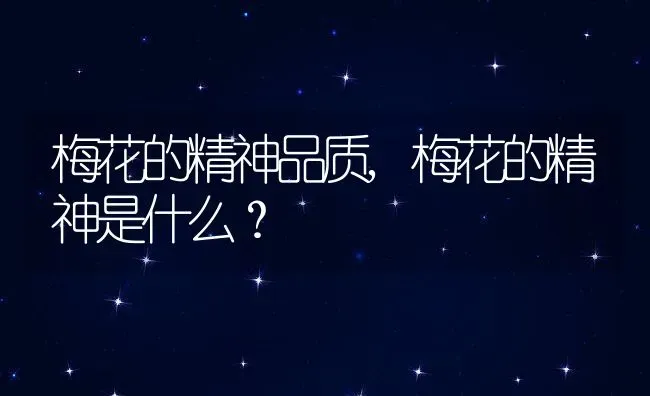 梅花的精神品质,梅花的精神是什么？ | 养殖常见问题